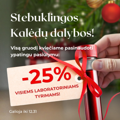 Stebuklingos Kalėdų dalybos