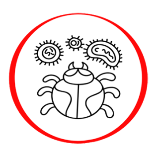 Immunoblotting detection of Lyme borreliosis IgG