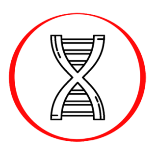 myPrenatal Genome Screen (Trisomies 21, 18 and 13 + aneuploidies X, Y + macrodeletions + duplications + sex)
