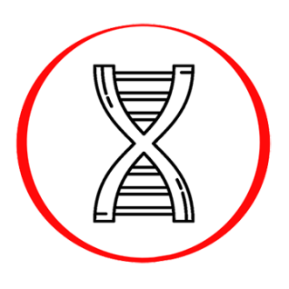 NIPT myPrenatal basic (trisomijos 21, 18 ir 13 + vaisiaus lytis)