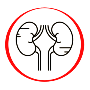 ASLO | Antistreptolizino O nustatymas ASLO | Antistreptolizino O nustatymas