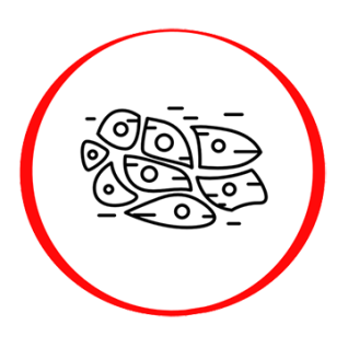 DHEA – SO4 | Dehidroepiandrosterono sulfatas DHEA – SO4 | Dehidroepiandrosterono sulfatas