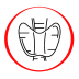 TTH (TSH) | Tirotropinis hormonas