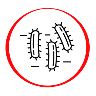 Helicobacter pylori Quantitative determination of IgG antibodies
