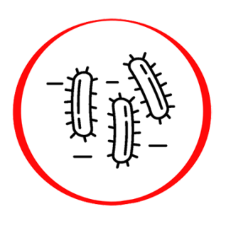 Mycoplasma Pneumoniae IgM antibodies