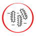 Cat scratch disease (Bartonella Hensellae) IgM antibodies